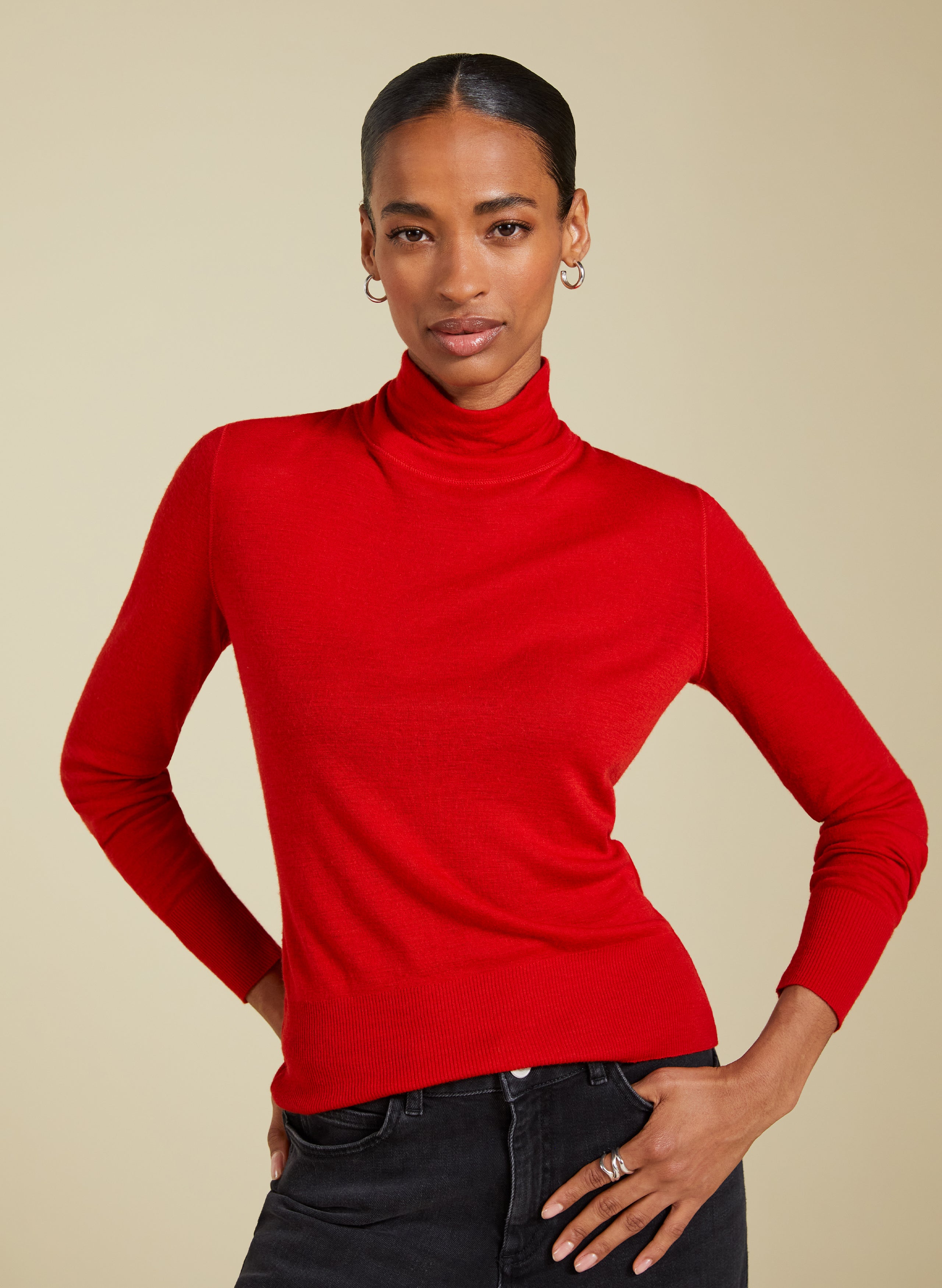 Sheer polo neck on sale